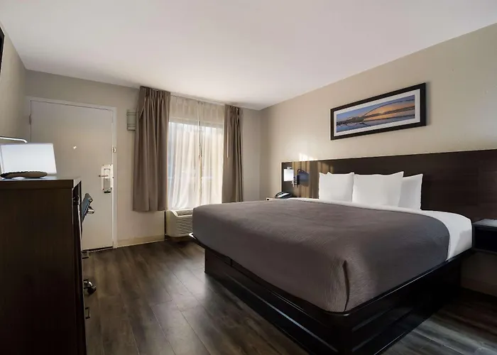 Quality Coliseum Inn North Charleston